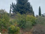  2507998-7060annonce320260512iVA8g.jpeg Maisons Open