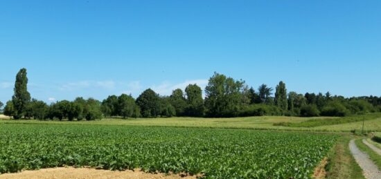 Terrain à bâtir à , Essonne