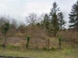  2419598-10686annonce120251016Tzd5d.jpeg Maisons Open