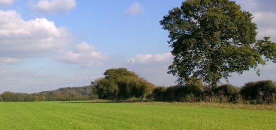 Terrain à bâtir à Orgerus, Île-de-France