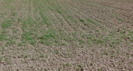 Agny Terrain à bâtir - 2478704-6159annonce3202604087TlDL.jpeg Maisons Open