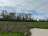  2508655-2684annonce2202605128KLG2.jpeg Maisons Open