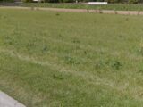  2414784-10076annonce120251007Z04BC.jpeg Maisons Open