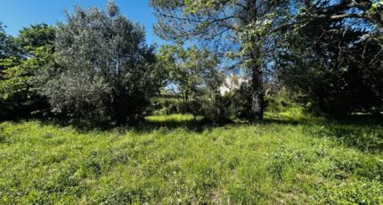 Draguignan Terrain à bâtir - 2509369-4529annonce120260513GZu2G.jpeg Maisons Open