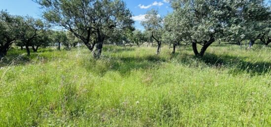 Terrain à bâtir à Flayosc, Provence-Alpes-Côte d'Azur