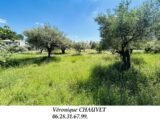  2509424-4529annonce3202605132t1z0.jpeg Maisons Open