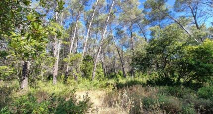 Bagnols-en-Forêt Terrain à bâtir - 2509402-9911annonce120260513JTAvf.jpeg Maisons Open