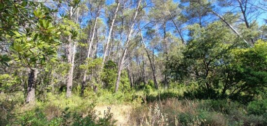Terrain à bâtir à Bagnols-en-Forêt, Provence-Alpes-Côte d'Azur