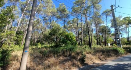Bagnols-en-Forêt Terrain à bâtir - 2509402-9911annonce32026051388Eex.jpeg Maisons Open