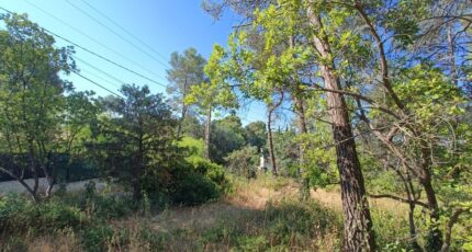 Bagnols-en-Forêt Terrain à bâtir - 2509402-9911annonce420260513qbwQC.jpeg Maisons Open