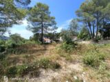  2509395-9911annonce120260513lOfO7.jpeg Maisons Open