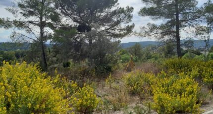 Draguignan Terrain à bâtir - 2509395-9911annonce5202605135TTnD.jpeg Maisons Open