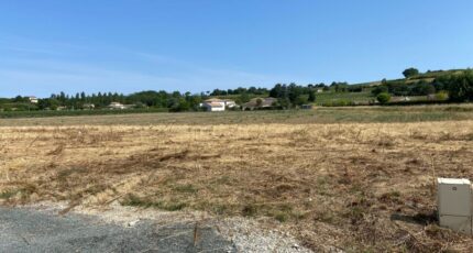 Bénesse-Maremne Terrain à bâtir - 2478121-11689annonce1202511196o3wu.jpeg Maisons Open