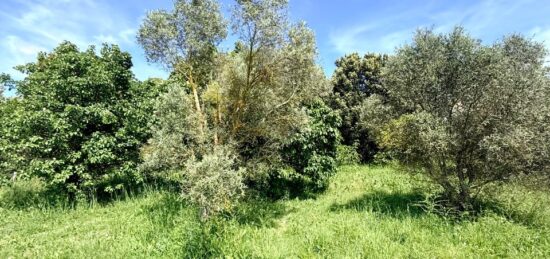 Terrain à bâtir à , Bouches-du-Rhône