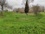  2481055-11782annonce120260410OLifH.jpeg Maisons Open