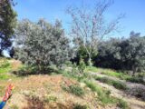  2509922-11039annonce320260513b1T7m.jpeg Maisons Open