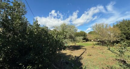 La Crau Terrain à bâtir - 2510359-11136annonce220260513qsnq5.jpeg Maisons Open