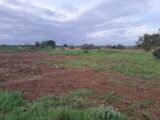  2510465-11041annonce120260514Eq6Ed.jpeg Maisons Open