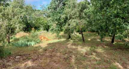 Le Cannet-des-Maures Terrain à bâtir - 2510479-11157annonce120260514hv2GU.jpeg Maisons Open