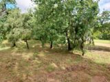  2510479-11157annonce220260514kooUD.jpeg Maisons Open