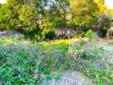  2510488-11719annonce220260514AC6lo.jpeg Maisons Open