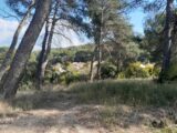  2510591-11238annonce120260515q90O1.jpeg Maisons Open