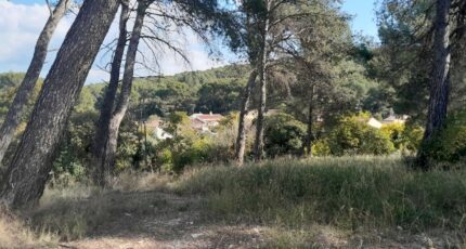 Septèmes-les-Vallons Terrain à bâtir - 2510591-11238annonce120260515q90O1.jpeg Maisons Open