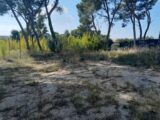  2510591-11238annonce2202605150cET2.jpeg Maisons Open