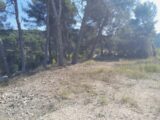  2510591-11238annonce3202605158xK82.jpeg Maisons Open