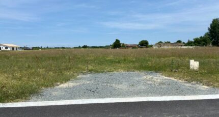 Verdelais Terrain à bâtir - 2510968-11689annonce120260122BRpfB.jpeg Maisons Open