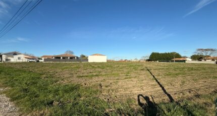 Cussac-Fort-Médoc Terrain à bâtir - 2474074-10624annonce1202511203dNfx.jpeg Maisons Open