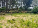  2511085-11677annonce120260515Z37gs.jpeg Maisons Open