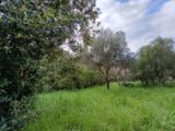  2416084-11080annonce220260202fCJdf.jpeg Maisons Open