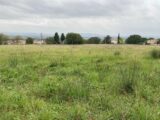  2506376-6150annonce2202601139TCT0.jpeg Maisons Open
