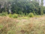  2506382-6150annonce420260113mWHCk.jpeg Maisons Open