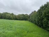  2511673-6150annonce120240328rXWsQ.jpeg Maisons Open