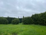  2511673-6150annonce220240328sqhn6.jpeg Maisons Open
