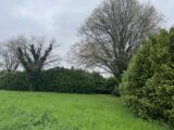  2511673-6150annonce120240328dm357.jpeg Maisons Open