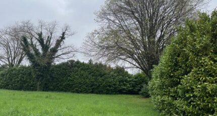Loriol-sur-Drôme Terrain à bâtir - 2511673-6150annonce120240328dm357.jpeg Maisons Open
