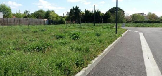 Terrain à bâtir à Cologne, Occitanie