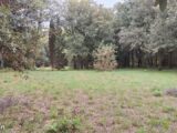  2480785-10986annonce120260409EPybI.jpeg Maisons Open