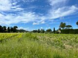  2512440-3418annonce120260122uVi08.jpeg Maisons Open