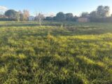  2511381-11356annonce420260515vuhNC.jpeg Maisons Open