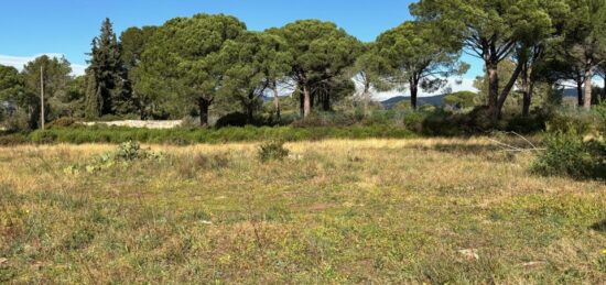 Terrain à bâtir à Puget-sur-Argens, Provence-Alpes-Côte d'Azur