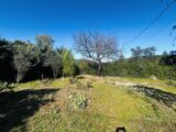  2460227-4529annonce320260318RlnrK.jpeg Maisons Open