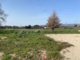  2513008-3969annonce3202605180ARoI.jpeg Maisons Open