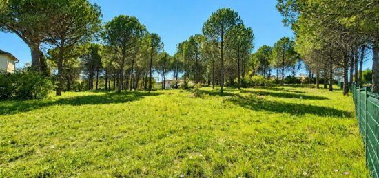 Terrain à bâtir à Roquebrune-sur-Argens, Provence-Alpes-Côte d'Azur
