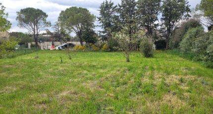 Sainte-Cécile-les-Vignes Terrain à bâtir - 2511691-6150annonce520250627HUlNc.jpeg Maisons Open