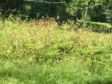  2512172-10626annonce120260518Crcnr.jpeg Maisons Open