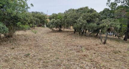 Villeneuve-lès-Avignon Terrain à bâtir - 2513954-695annonce120260519PBKKN.jpeg Maisons Open